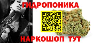 СК Абинск