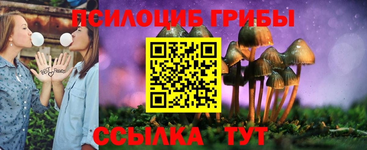 Псилоцибиновые грибы мицелий  Вход с VPN  Абинск 