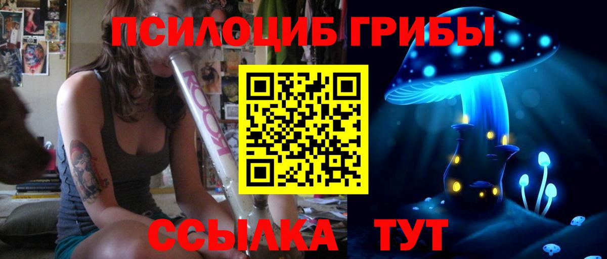 Псилоцибиновые грибы мухоморы Абинск